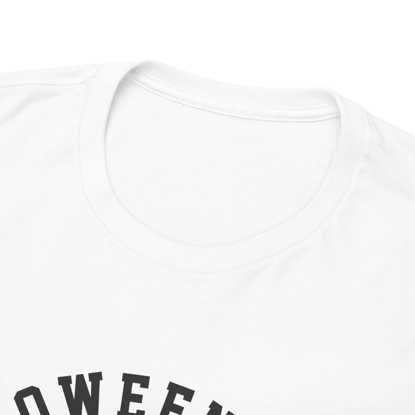 Halloween Town University Unisex Heavy Cotton Tee