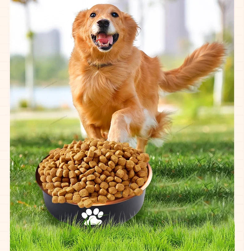 Stainless Steel Pet Dog Bowl Non Slip Durable Dogs Feeding Bowls for Small Medium Dogs Cat Placemat Feeder Pet Product