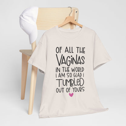 Of All the Vaginas in the World Funny Unisex Heavy Cotton Tee Humor Shirt