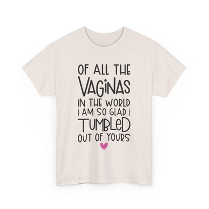 Of All the Vaginas in the World Funny Unisex Heavy Cotton Tee Humor Shirt