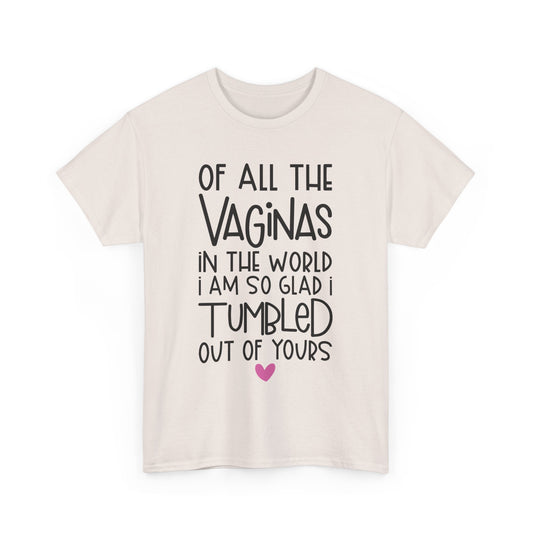 Of All the Vaginas in the World Funny Unisex Heavy Cotton Tee Humor Shirt