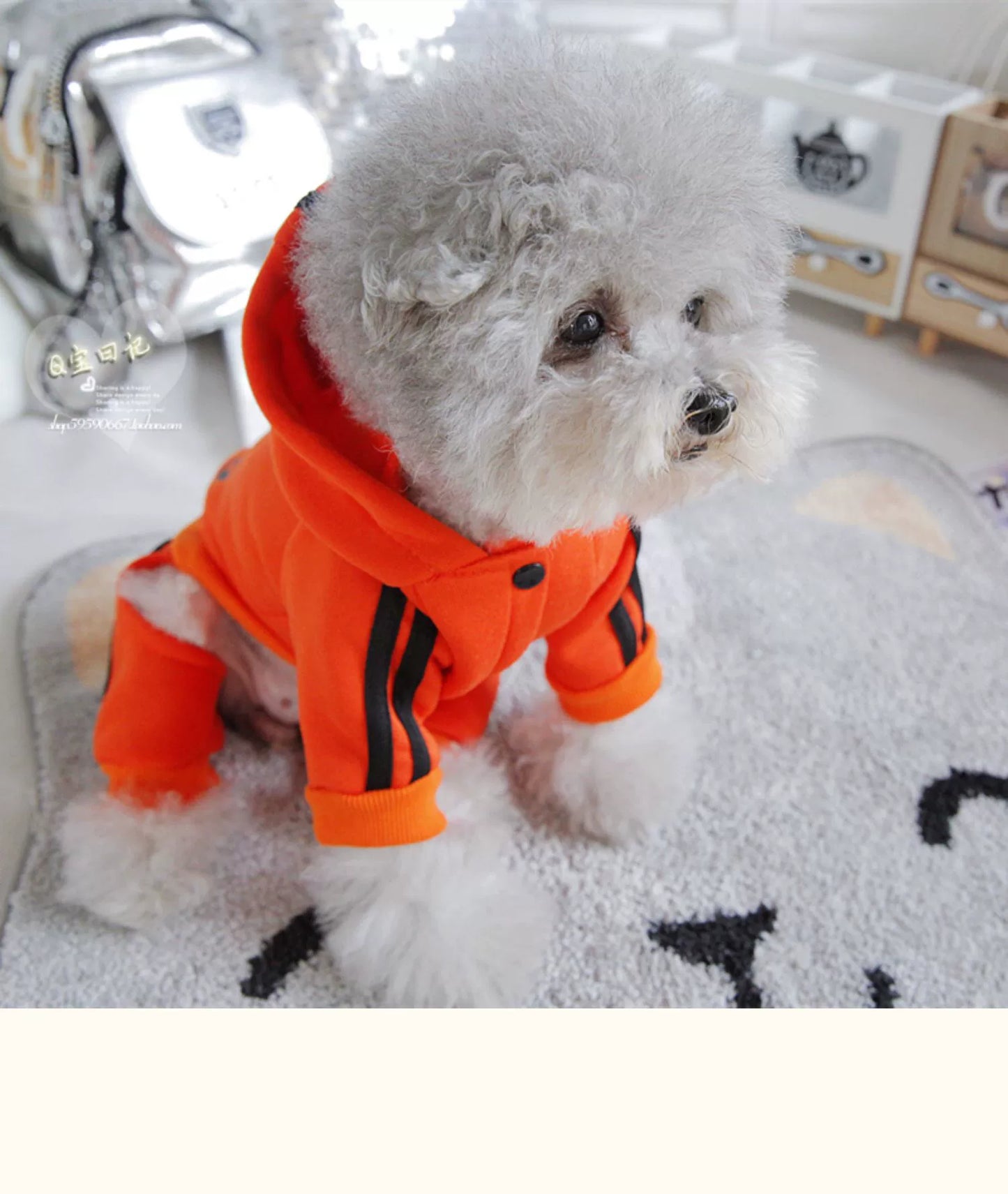 Pet Trendy Four-Legged Pet Clothing Pet Bichon Pomeranian Schnauzer Small Size Dogs Puppy Poodle Dog Clothes Spring and Autumn Clothing