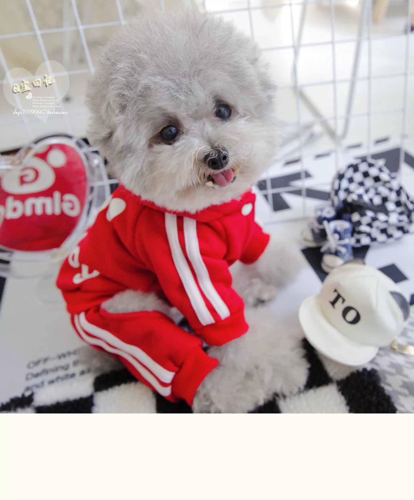 Pet Trendy Four-Legged Pet Clothing Pet Bichon Pomeranian Schnauzer Small Size Dogs Puppy Poodle Dog Clothes Spring and Autumn Clothing