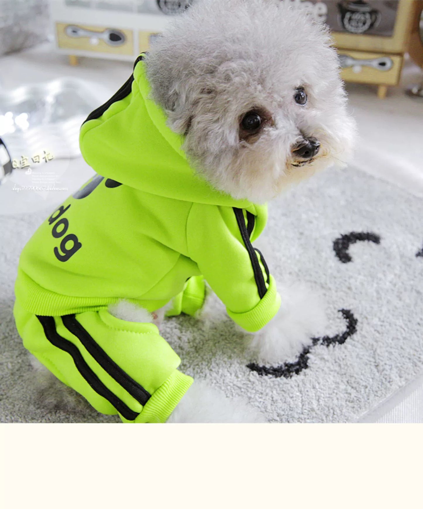 Pet Trendy Four-Legged Pet Clothing Pet Bichon Pomeranian Schnauzer Small Size Dogs Puppy Poodle Dog Clothes Spring and Autumn Clothing