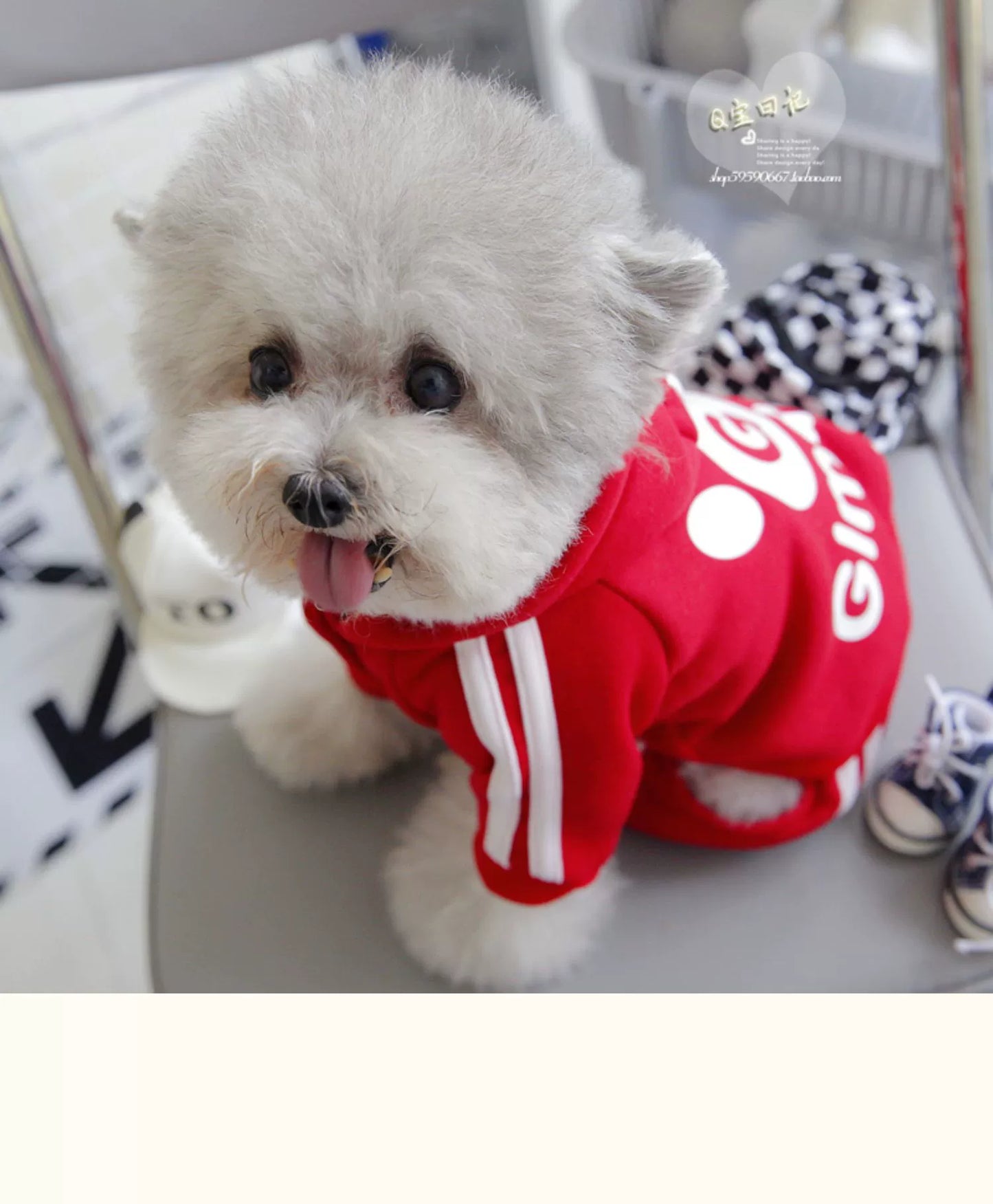 Pet Trendy Four-Legged Pet Clothing Pet Bichon Pomeranian Schnauzer Small Size Dogs Puppy Poodle Dog Clothes Spring and Autumn Clothing