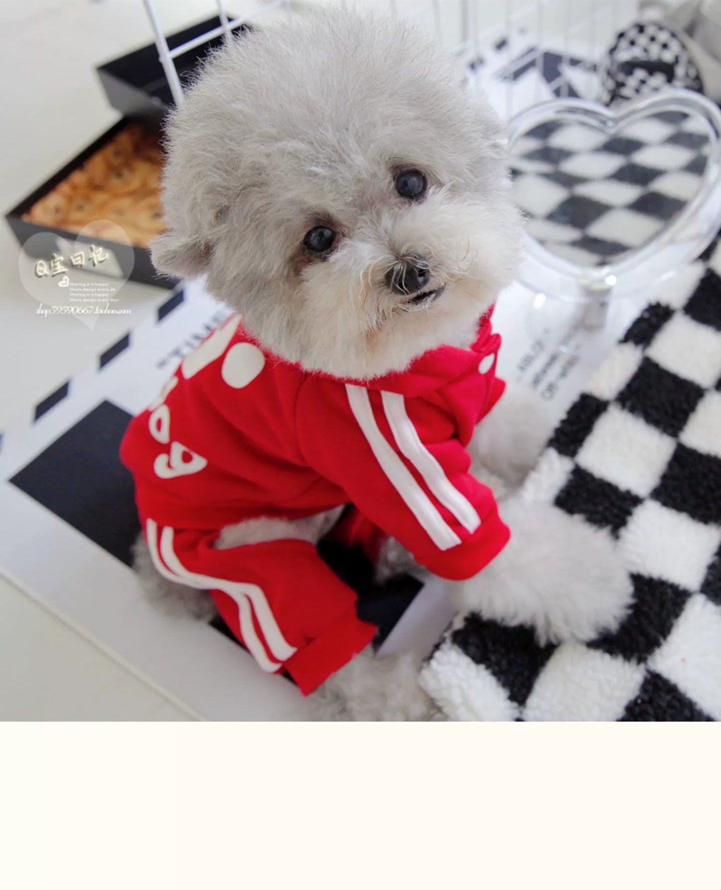 Pet Trendy Four-Legged Pet Clothing Pet Bichon Pomeranian Schnauzer Small Size Dogs Puppy Poodle Dog Clothes Spring and Autumn Clothing