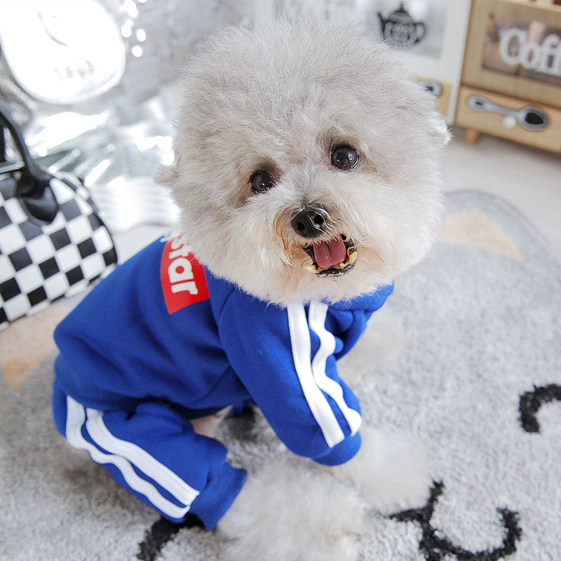 Pet Trendy Four-Legged Pet Clothing Pet Bichon Pomeranian Schnauzer Small Size Dogs Puppy Poodle Dog Clothes Spring and Autumn Clothing