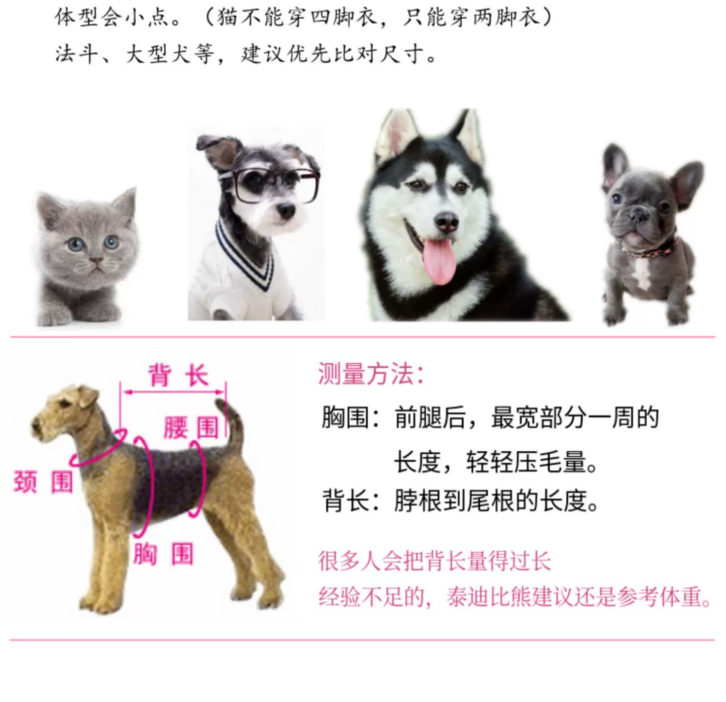 Pet Trendy Four-Legged Pet Clothing Pet Bichon Pomeranian Schnauzer Small Size Dogs Puppy Poodle Dog Clothes Spring and Autumn Clothing